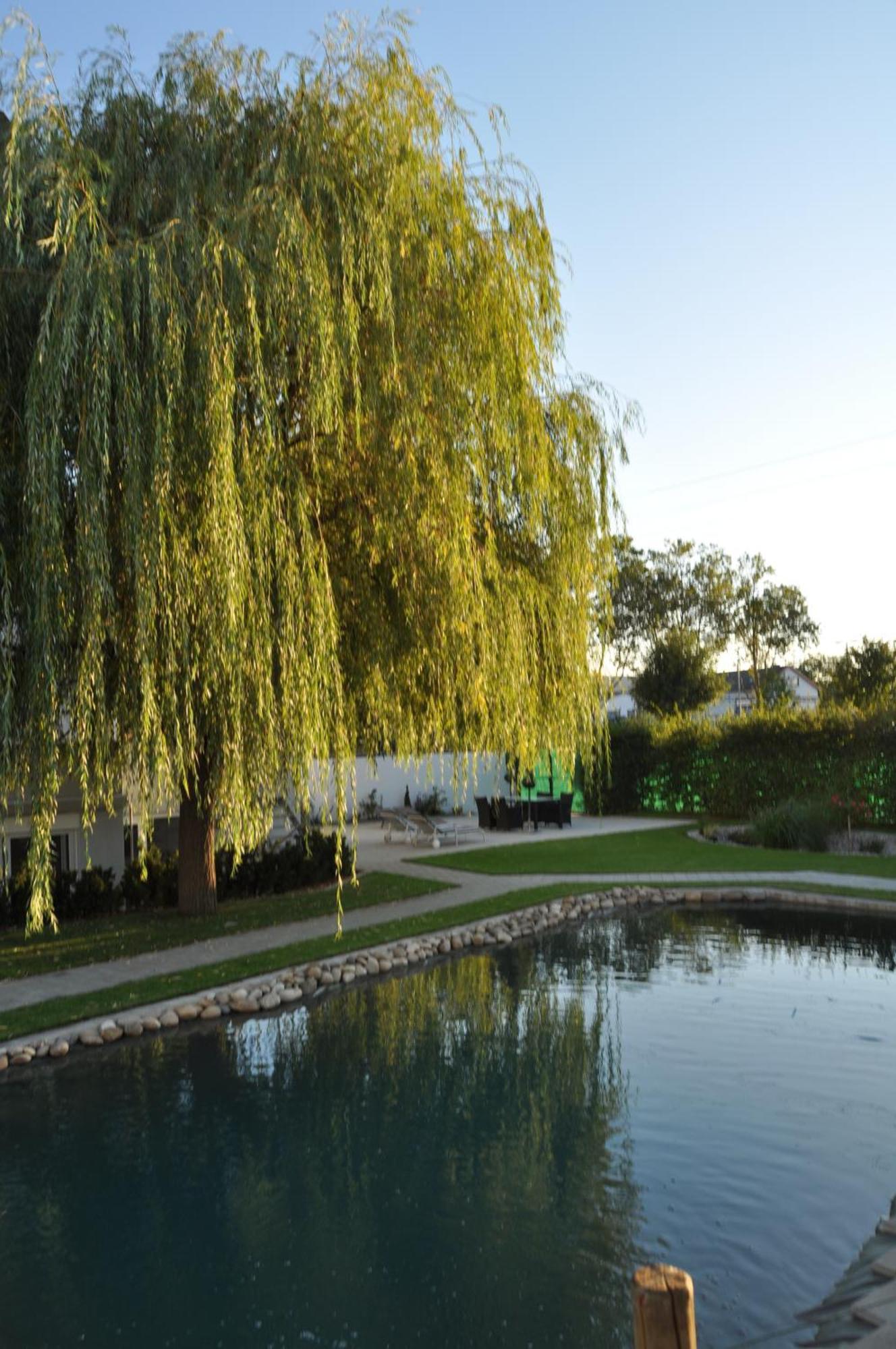 Kirchers Park & Wellnesshotel Kaiserstuhl Garni Endingen am Kaiserstuhl Экстерьер фото